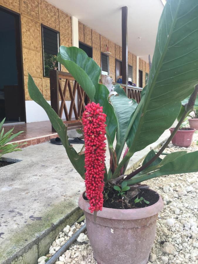 Panglao Rainbow Inn ตักบีลารัน ซิตี ภายนอก รูปภาพ